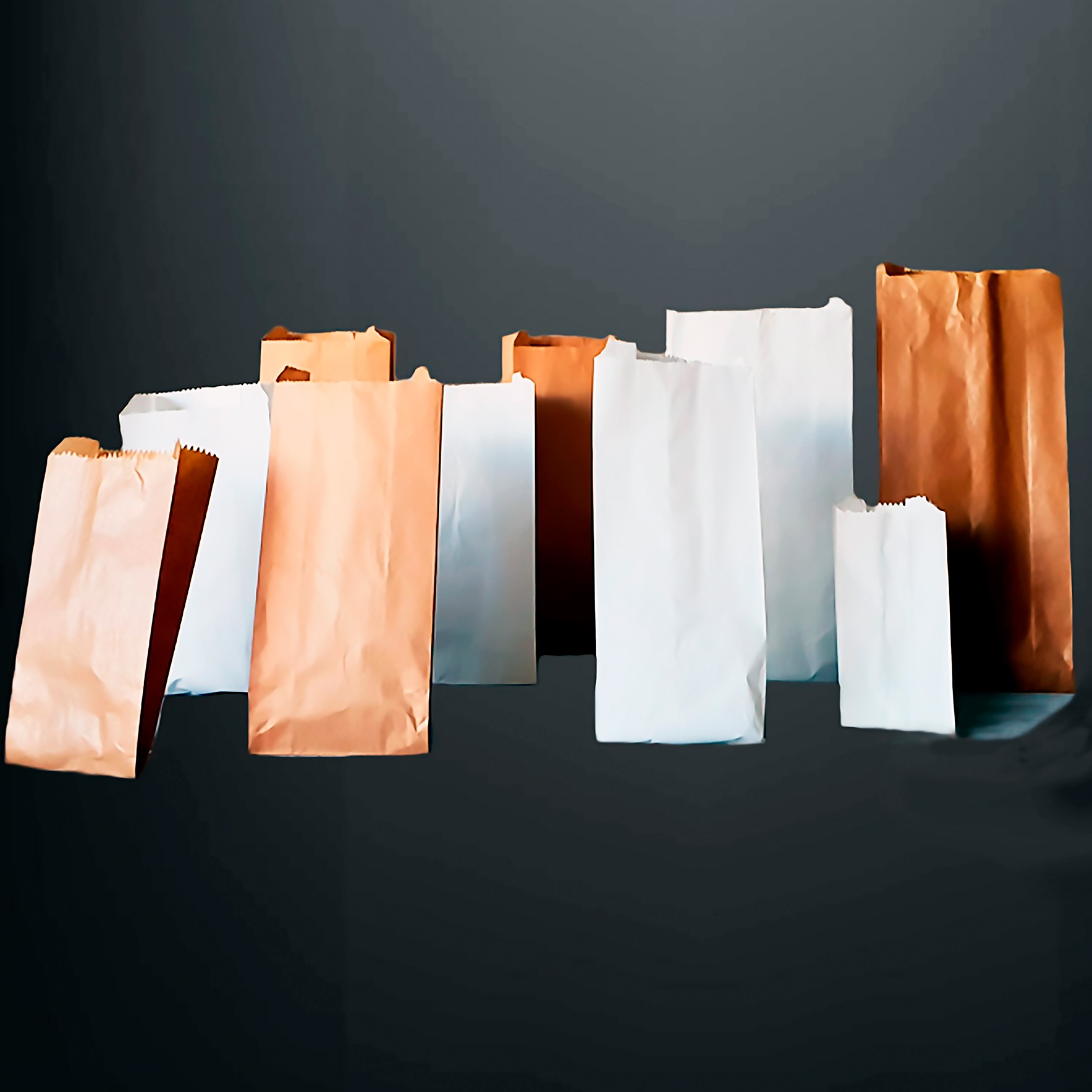 Bolsas Papel kraft y parafinado